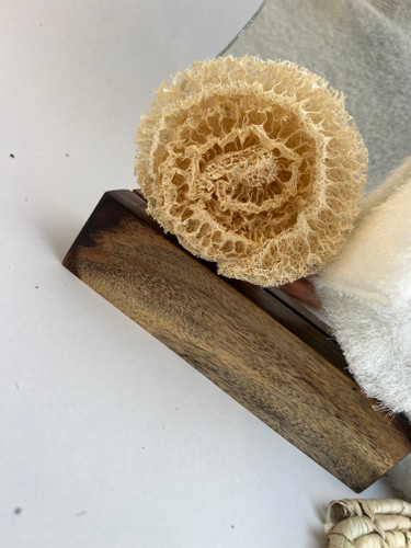 جاصابونی (زیرصابونی لوفا)